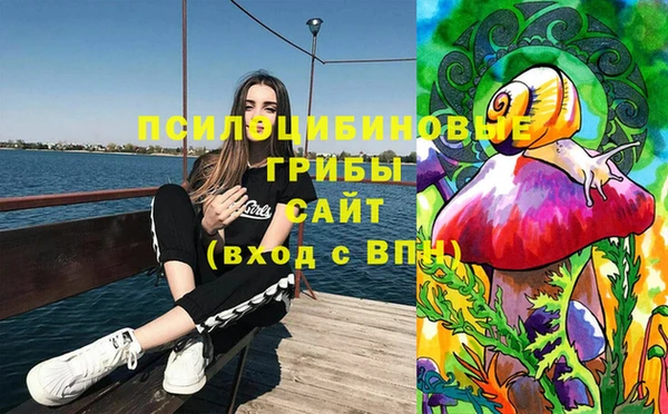мдпв Аксай