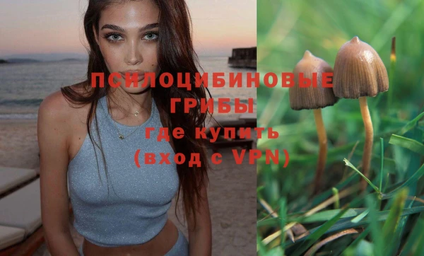 apvp Бронницы