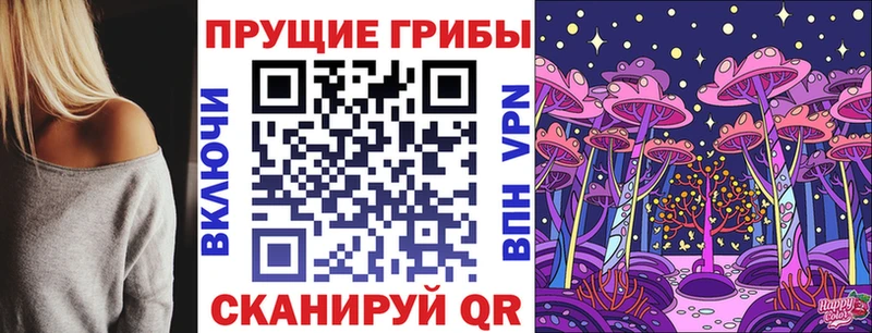 Галлюциногенные грибы Cubensis  Бугуруслан 